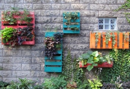 diy pallets garden